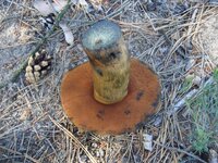 DSC03434.JPG