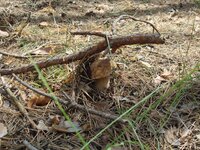 DSC03460.JPG