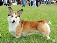 0ea898307a95.webp