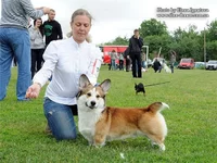d3e02159ce93.webp