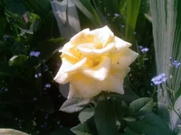 Photo-0254.webp