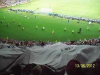 19.webp