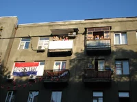 IMG_2331.jpg