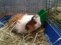 y_bd904912.webp