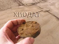 17_Коробочка_2.webp