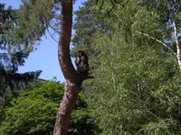  014.webp