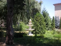  023.webp