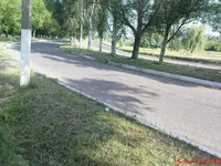 DSC01640.webp