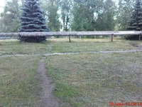 DSC01590.webp