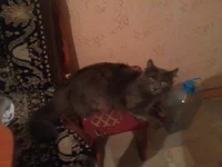 2011-04-10 21.20.40.webp