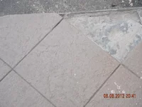 DSCN5848.webp