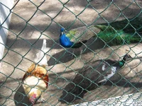 IMG_0226.webp