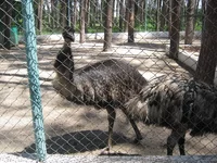 IMG_0227.webp