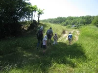 IMG_0238.webp