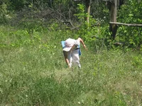 IMG_0239.webp