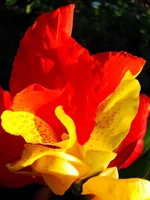 DSC06947.webp