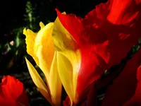 DSC06950.webp