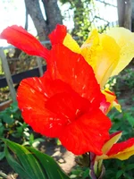 DSC06959.webp