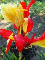 DSC06960.webp