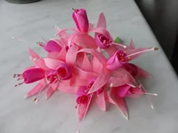 pink fucshia flowers.webp