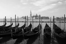 IMG_5454.JPG