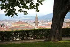 IMG_5591.jpg