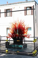 IMG_5464.JPG