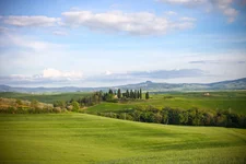 IMG_0708.jpg