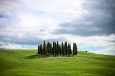 IMG_0784.jpg