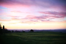 IMG_0828.jpg