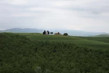 IMG_6131.JPG