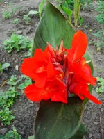DSC07047.webp