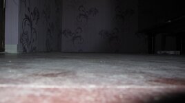 IMG_3388.JPG