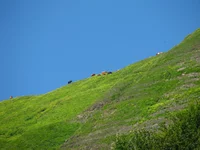 -Абхазская граница.webp
