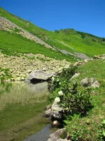  у озера.webp