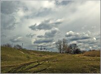 DSC_6539-Edit_crop2.jpg