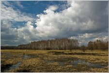 DSC_6602-Edit-3.jpg