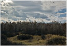 DSC_6569-Edit_crop.jpg