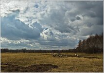 DSC_6626-Edit_crop.jpg