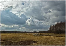 DSC_6626-Edit_crop.webp