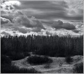 DSC_6569-Edit_bw_crop.jpg