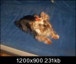 1002076rw9_th.jpg