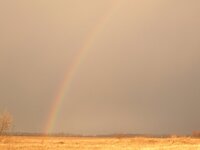 Dscn2417.jpg