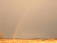 Dscn2417.webp