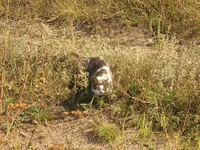 Dscn2121.webp