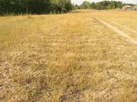 Dscn2125.webp