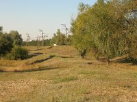Dscn2128.jpg