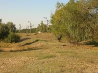 Dscn2128.webp