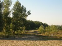 Dscn2129.jpg