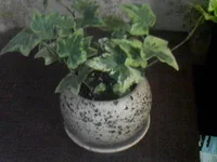  [3].webp